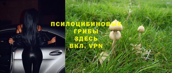 МДМА Нязепетровск