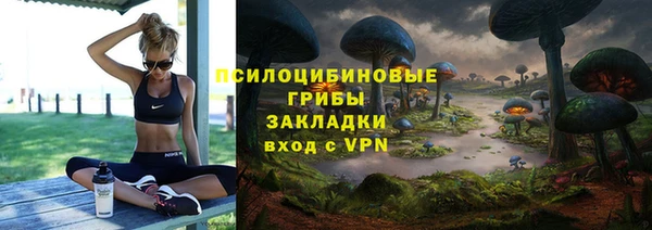 соль курить ск Няндома